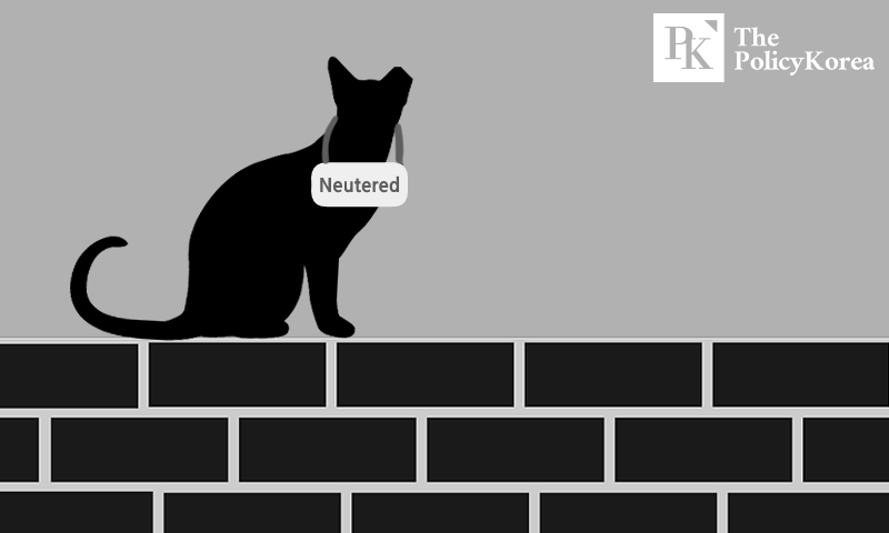 neutered_cat_20240306