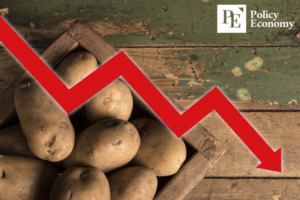 “감자값만 내리면 뭐하나” 농산품 수급 불안 속 급등하는 먹거리 물가